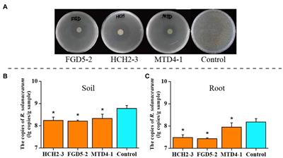 Pseudomonas Inoculation Stimulates Endophytic Azospira Population and Induces Systemic Resistance to Bacterial Wilt